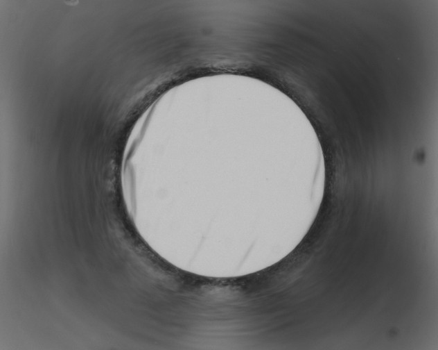 X0000115810689200912241914