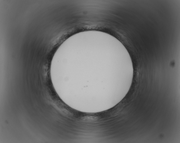 X0000115810691200912241914
