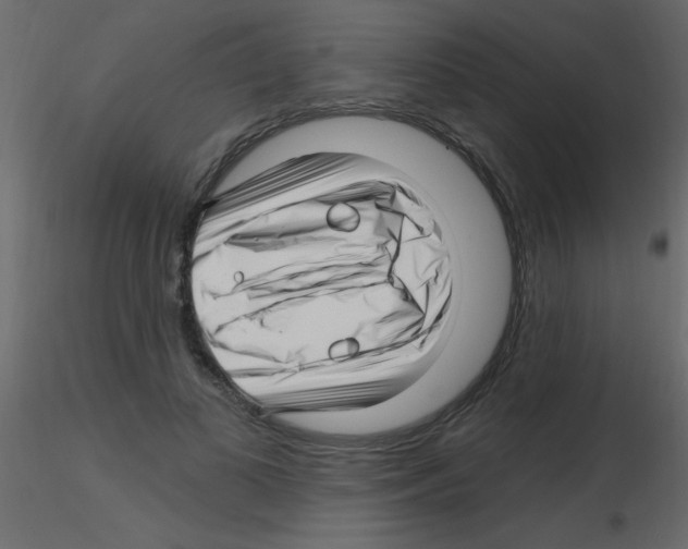 X0000115810693200912241914