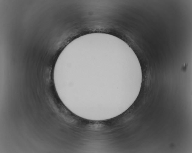 X0000115810695200912241914