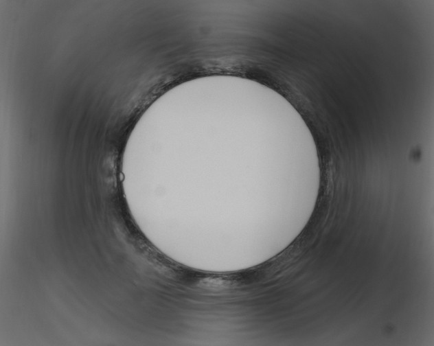 X0000115810699200912241914