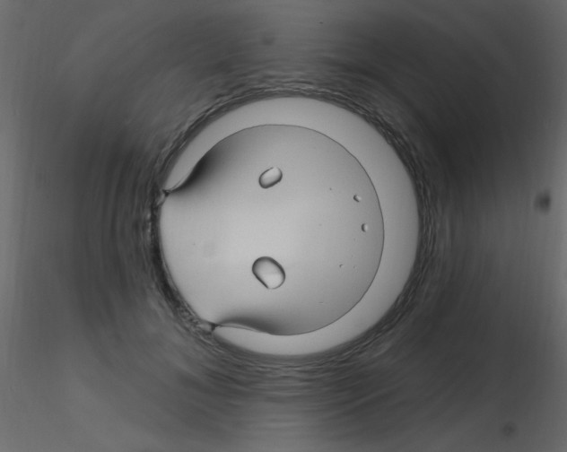 X0000115810700200912241914