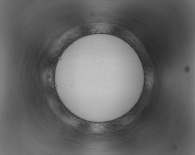 X0000115810701200912241914