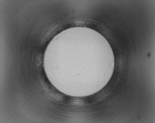 X0000115810702200912241914