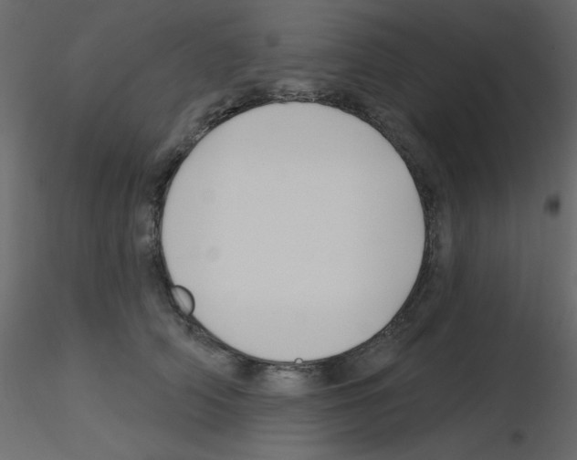 X0000115810706200912241914