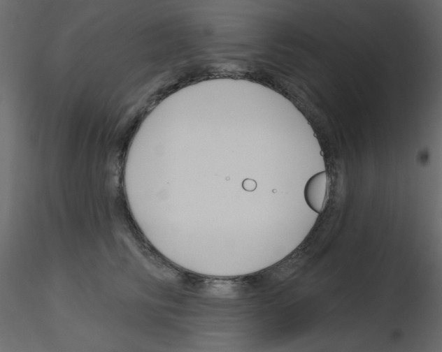 X0000115810710200912241914