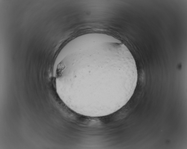 X0000115810715200912241914