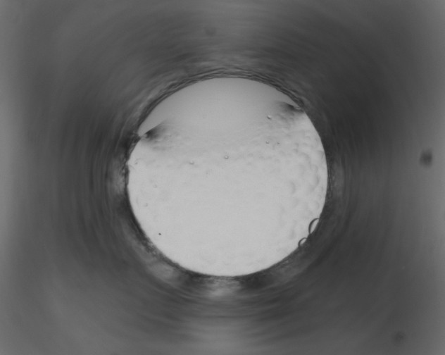 X0000115810719200912241914