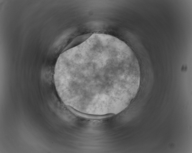 X0000115810720200912241914