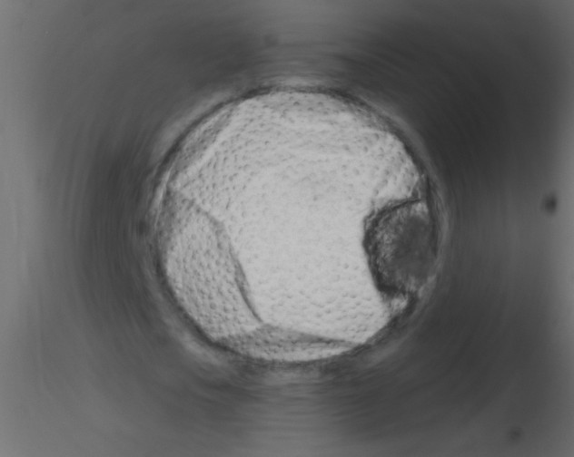 X0000115810721200912241913