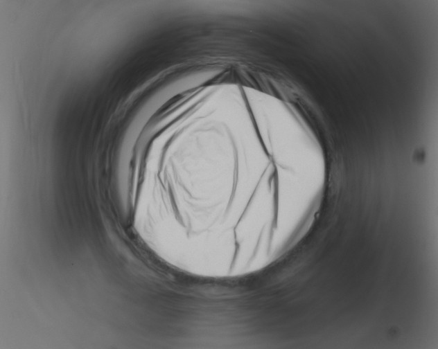 X0000115810722200912241913