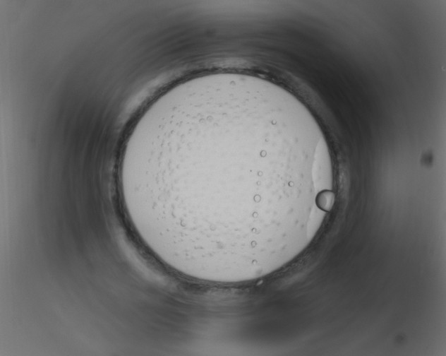 X0000115810725200912241913