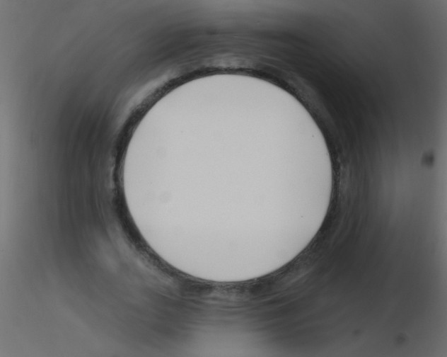 X0000115810727200912241913