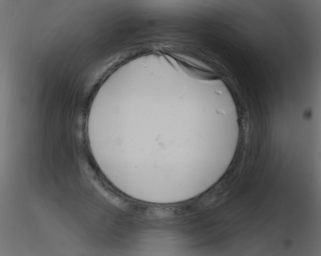 X0000115810729200912241913