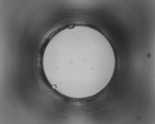 X0000115810731200912241913