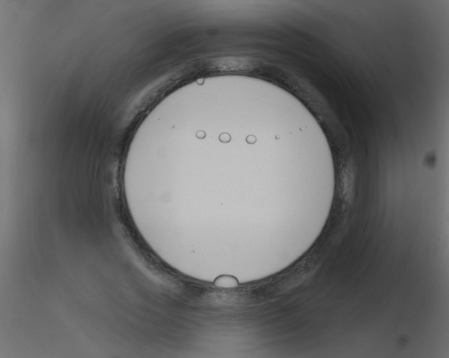X0000115810733200912241913