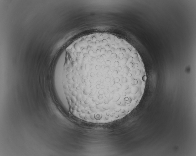 X0000115810734200912241913