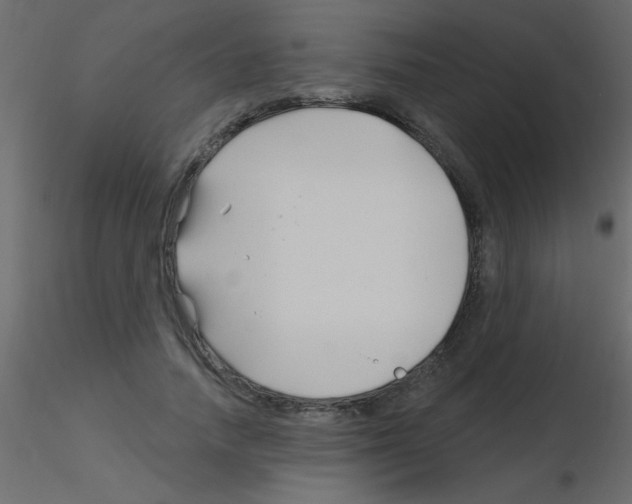 X0000115810738200912241913