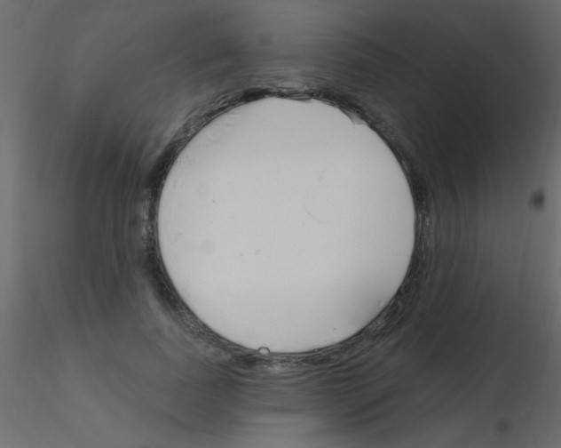 X0000115810739200912241913