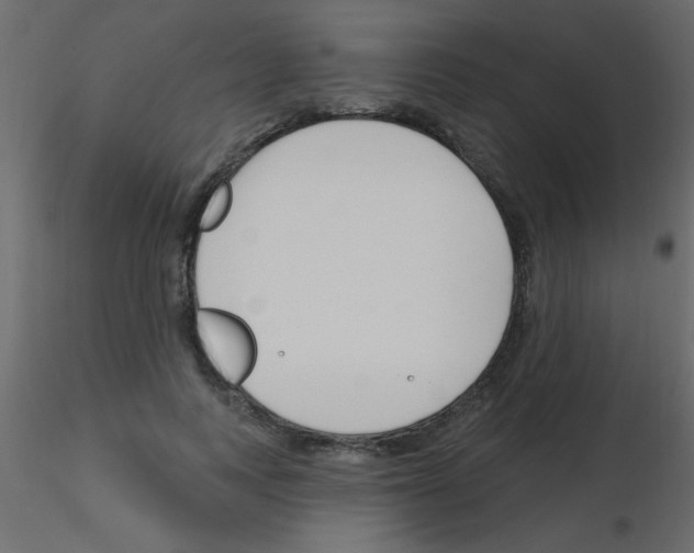 X0000115810743200912241914