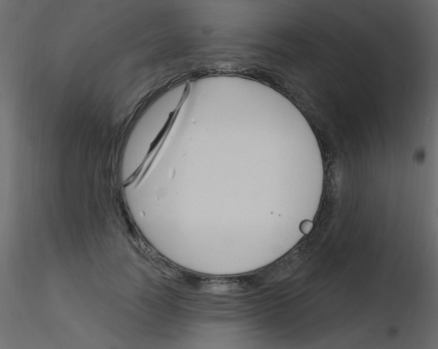 X0000115810746200912241914