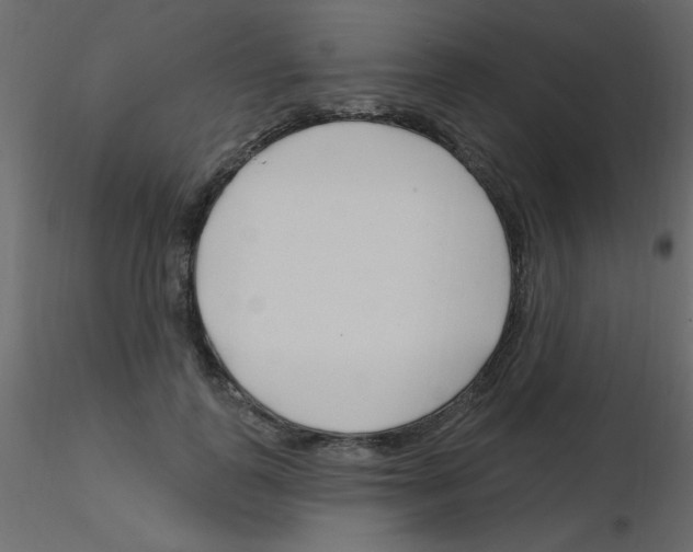 X0000115810747200912241914