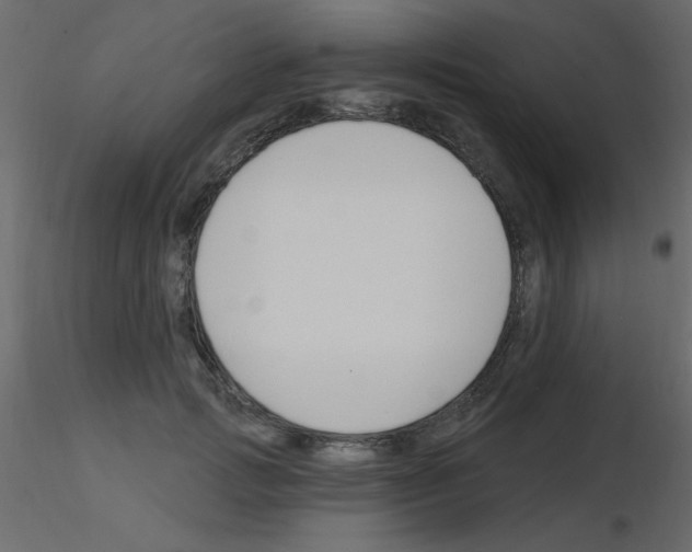 X0000115810749200912241914