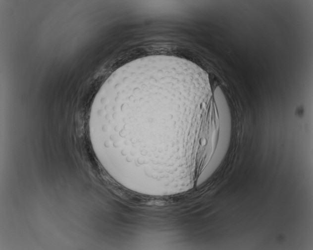 X0000115810751200912241914