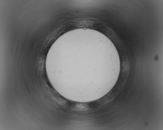 X0000115810753200912241914