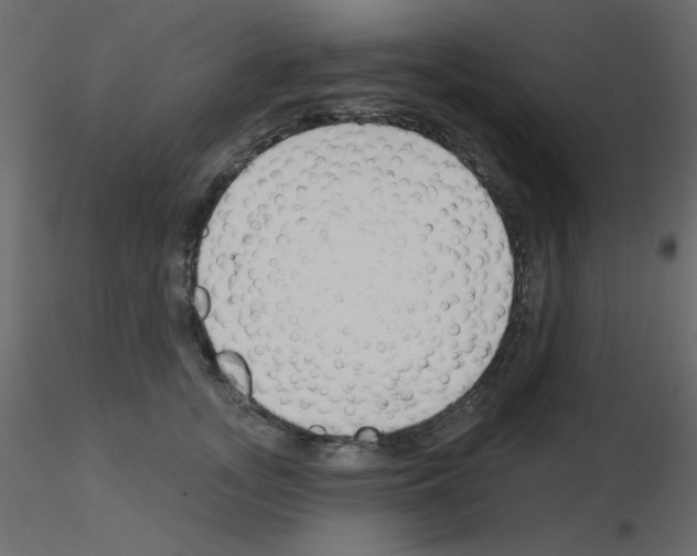 X0000115810755200912241914