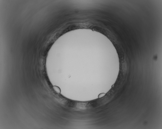 X0000115810757200912241914