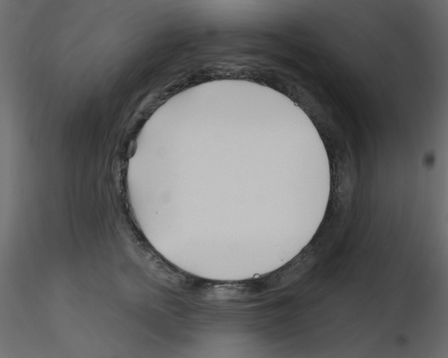 X0000115810758200912241914