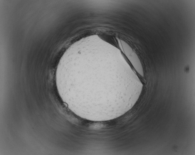 X0000115810759200912241914