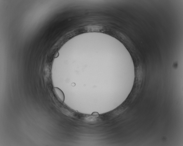 X0000115810761200912241914