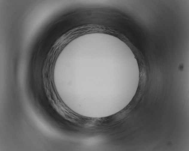 X0000115810765200912241914