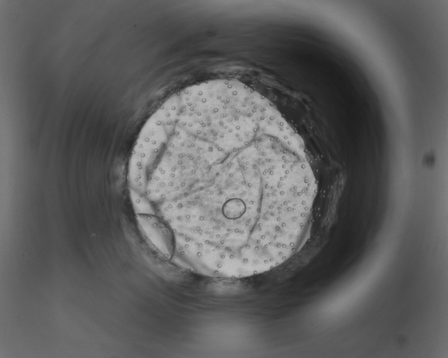 X0000115810767200912241914