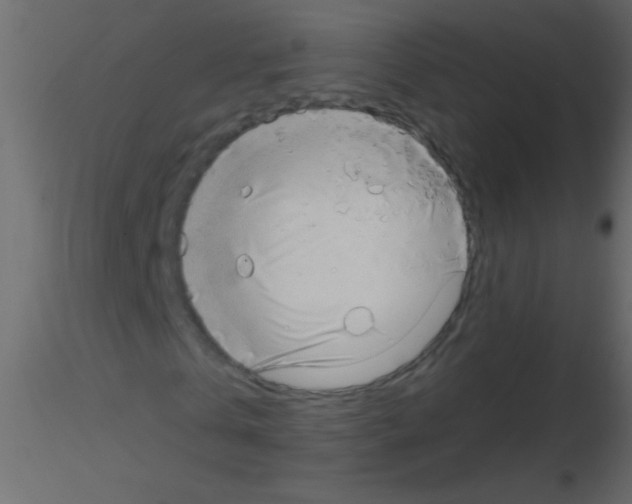 X0000115810769200912241913