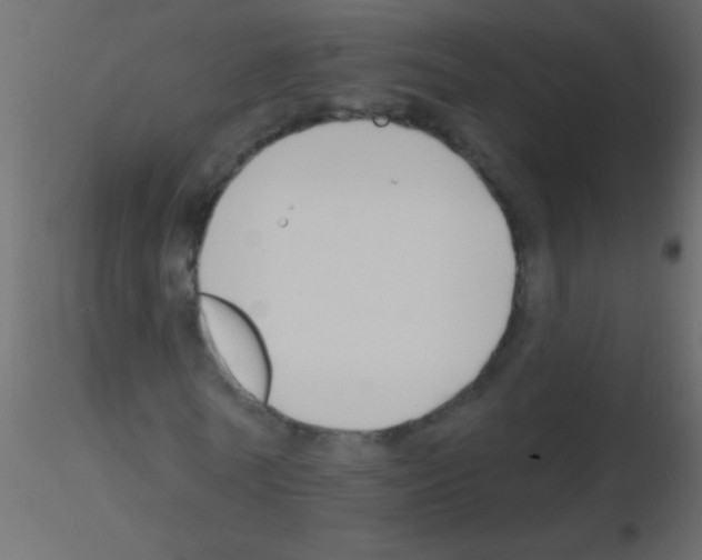 X0000115810770200912241913