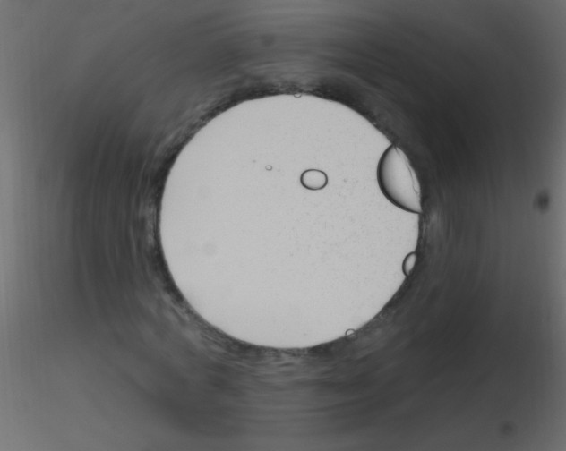 X0000115810772200912241913