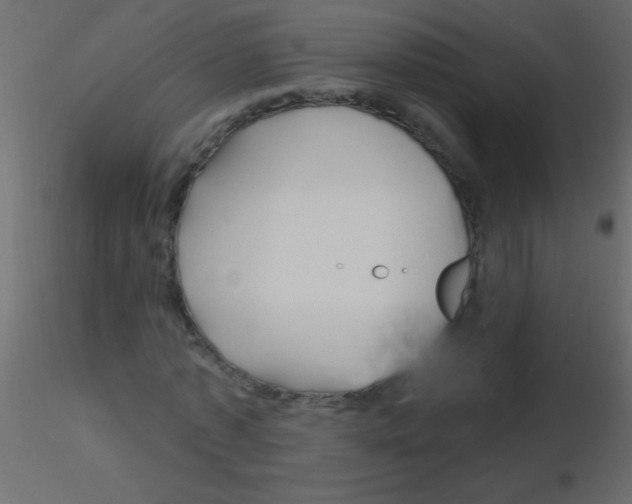 X0000115810773200912241913