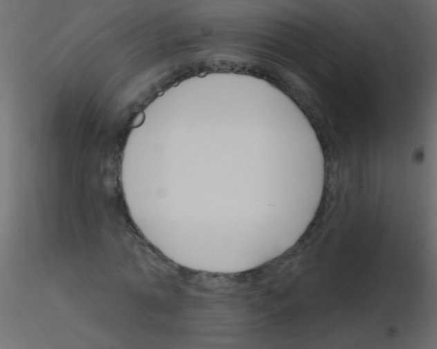 X0000115810774200912241913