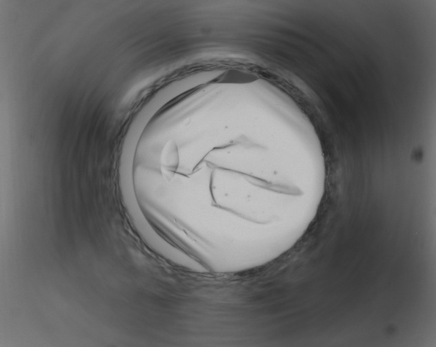 X0000115810775200912241913