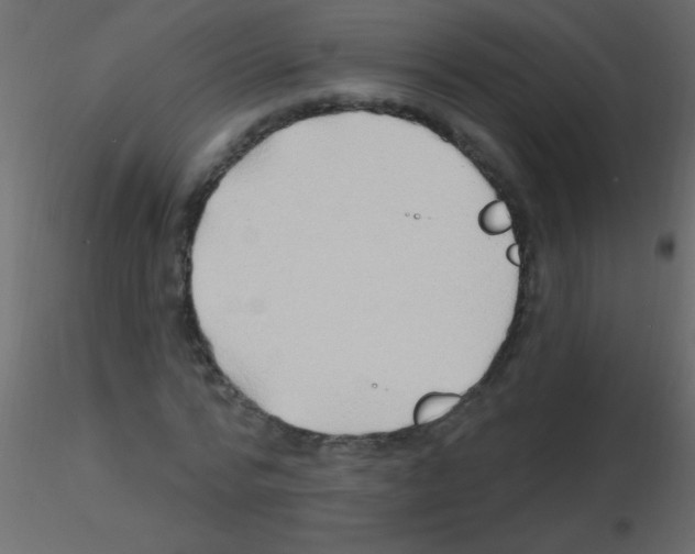 X0000115810776200912241913