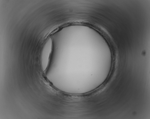 X0000115810777200912241913