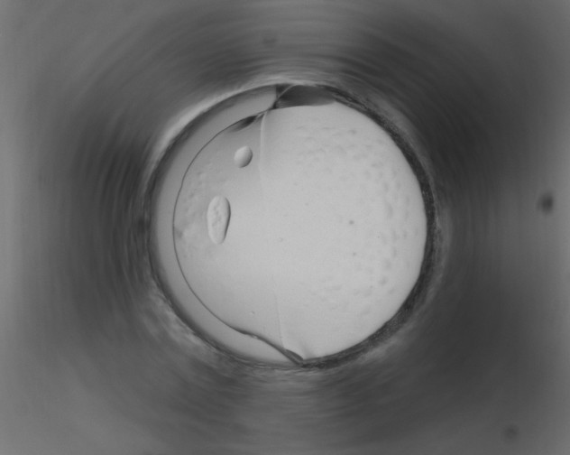 X0000115810779200912241913