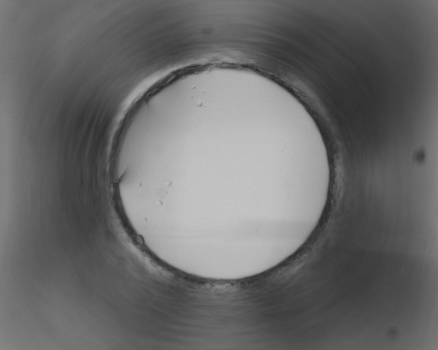 X0000115810784200912241913