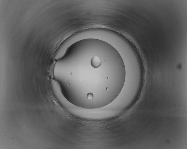 X0000115810785200912241913