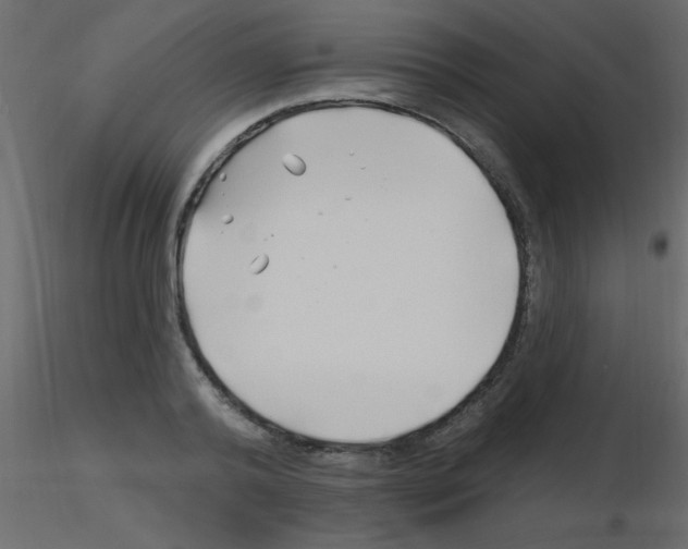 X0000115810792200912241913