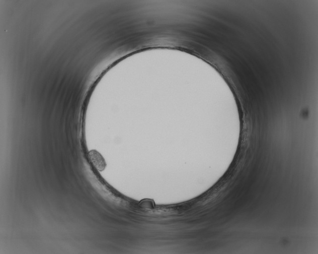 X0000115810795200912241913