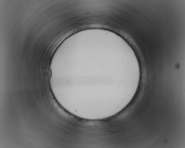 X0000115810801200912241913